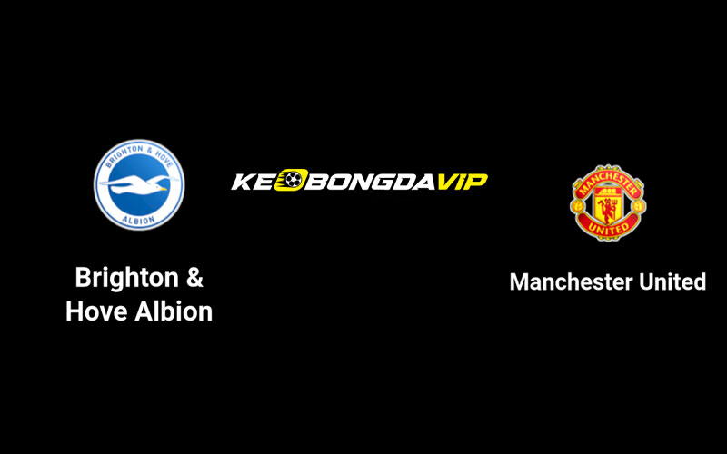 Cập nhật nhận định Brighton vs Man United 18h30 ngày 24/08